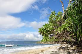 Christmas island bed and breakfast. Christmas Island Urlaub Tauchen Natur Auf Der Weihnachtsinsel