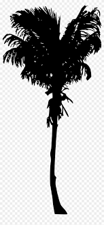 You can find more palm tree clip arts black and white in our search box. Free Download Palm Tree Clipart 447233 Pikpng