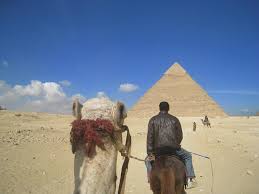 Why can't we get a camel? 5 Things We Can Learn From The Amazing Race