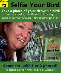 Savoy Singers Aviary: Canary Games and Puzzles