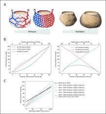 Image result for Diffusing Capacity