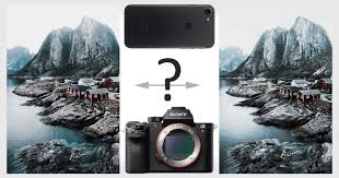 Cell Phone Versus Dslr Can You Tell Which Is Which