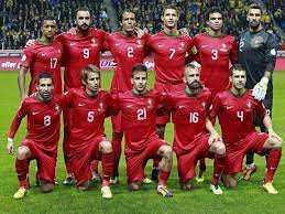 Jornal Record Portugal Football Team Fifa 2014 World Cup Portugal National Football Team