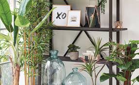 See more ideas about chinese money plant, money plant, plants. How To Decorate Your Living Room With Artificial Plants