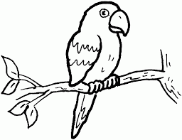 Akvis ha presentato la nuova versione 6 di coloriage, un software che permette di manipolare i colori di una fotografia e in grado di rendere abbastanza facile la colorazione di foto in bianco e nero o la. Perroquet 30 Animaux Coloriages A Imprimer Coloriage Perroquet Coloriage Coloriage Enfant