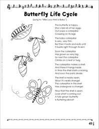Image Result For 1st Grade Life Cycle Of A Butterfly Butterfly Life Cycle Teaching Life Cycle Butterfly Poems
