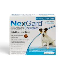 What's really in your dog's flea and tick medicine? Nexgard Chewables For Dogs 10 1 To 24 Lbs 3 Month Supply Petco