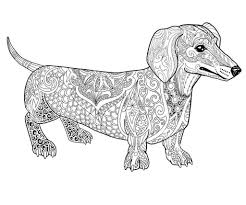 Pin By Deanna Parsons On Color Me Dog Coloring Page Race Car Coloring Pages Weiner Dog