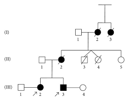 Pedigree Of The Family Of Siblings With Parkinsons Disease