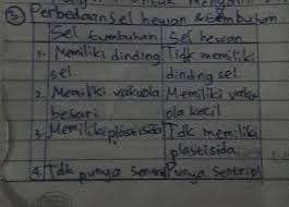 Dan pastinya, tidak sama antara sel mahkluk hidup satu dan lainnya. Sebutkan 4 Perbedaan Sel Hewan Dan Sel Tumbuhan Brainly Co Id
