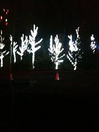 I Went To A Light Show A Year Ago Light Show Lights A Year Ago