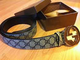 New Beige Gucci Belt With Blue Gucci Design With Silver Buckle Box Free Post 423376319
