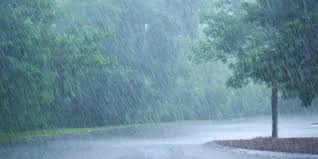 (most of spain and latin america) /ˈʝubja/, ˈɟ͡ʝu.β̞ja. Lluvia Origen Tipos Riesgos Beneficios Y Caracteristicas