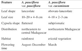Image result for Anisopappus kirkii