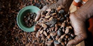 Von kaffee über tee, kakao und tabak bis hin zu kostbaren orientteppichen findet man die exotischsten importwaren aus aller welt. Wirtschaftliche Lage Der Kakaobauern Die Bittere Seite Des Sussen Taz De