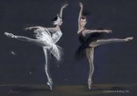 Black And White Swan Ballet Black And White Swan Black Swan Swan Painting White Swan