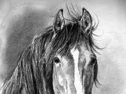 رسومات ثلاثية الأبعاد 3d باقلام الرصاص pencil sketch متقنة جدا فن صورة ١ horses animals