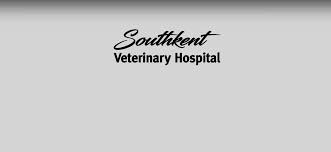 North florida's most comprehensive pet care center. Veterinarian In Caledonia Byron Center Vet Near You Southkent Veterinary Hospital