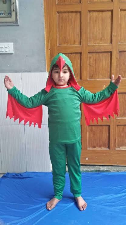 Kids Costumes