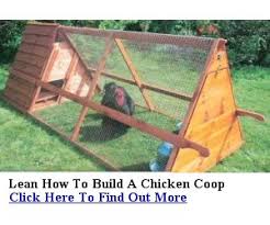 If you have a well designed coop it will aid in ease of cleaning, protect your flock and add charm to your property. How To Build A Backyard Chicken Coop Pros Cons Revealed