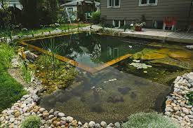 Pools come in all different types, designs, sizes, and shapes. Diy Pool How To Build A Natural Swimming Pool