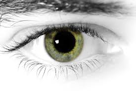 Image result for Pupillary Paralysis