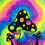 Toadstools & Tie-dye