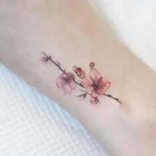 Lihat ide lainnya tentang bayangan, tato bunga sakura, seni ikan. Tato Bunga Sakura