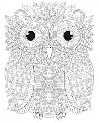 Night Owls 25 Owl Coloring Pages Colorful Owl Drawing Coloring Canvas