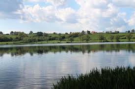 The correct way to pronounce the word duloxetine is? Agriturismo Lago Di Mezzano Valentano Updated 2021 Prices