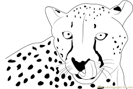 October 1, 2021 by coloring. Cheetah Face Coloring Page For Kids Free Cheetah Printable Coloring Pages Online For Kids Coloringpages101 Com Coloring Pages For Kids