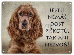 Image result for anglický barvář