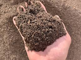 The term mushroom also is used to designate the entire fungus with a fruiting body. Mushroom Compost Raised Garden Beds Houston Tx 77099