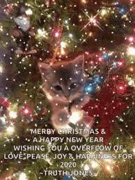 Happy New Year All Gifs Tenor