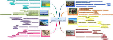 South africa is mostly covered by a plateau that drops in elevation from the east (about 2,400 m) to west (about 600 m). South Africa Travel Mind Map Download It Now For Free South Africa Travel Africa Travel Cool Places To Visit