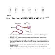 Jual Buku Mandiri Ipa Smp Kelas 9 Ix K13 Soal Jawaban Kurtilas Jakarta Barat Erlanggaa Jaya Tokopedia