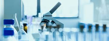 Pneumoniae hs11286 download sequences in fasta format for genome, protein major sites of infection include the lungs, where it causes a type of pneumonia, and urinary tract infections. Multiresistenz Falle Aus Dem Klinischen Alltag Swiss Medical Forum