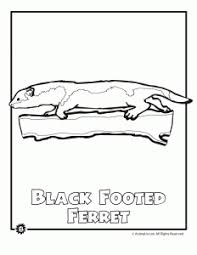 When it gets too hot to play outside, these summer printables of beaches, fish, flowers, and more will keep kids entertained. Endangered Animals Coloring Pages Animals From North America The Rainforest The Ocean Woo Jr Kids Activities Children S Publishing