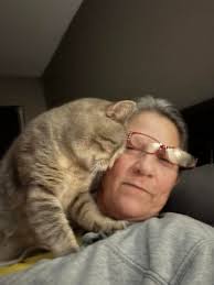 Pensacola Pets Lost and Found