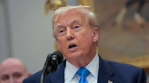 Mulher de 95 anos cria 'pássaro-robô' para melhorar experiência com  andadores