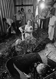 28 Serial Killer Crime Scene Photos From Famous Murderers