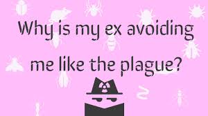 Why Is My Ex Avoiding Me Like The Plague Magnet Of Success