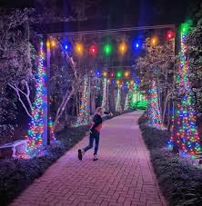 White lights, red bows, wreaths, and garlands accent broad. Dorothy B Oven Park Tallahassee 2021 All You Need To Know Before You Go With Photos Tripadvisor