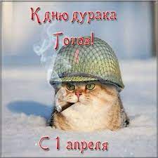 А еще — повышается зарплата, снижается пенсионный возраст, объявляется амнистия по делам о репостах, снижаются цены. Kartinka Na Pervoe Aprelya 1aprelya Denduraka Densmeha Pervoe Aprelya Veselye Kartinki Otkrytki