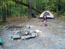 Wayne National Forest Camping Cabins Dispersed Camping Camping In The Woods Cabin Camping Forest Camp