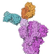 Regn) is a leading biotechnology company using the power of science to bring new medicines to patients in need. Casirivimab Imdevimab Wikipedia