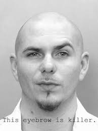 Pitbull