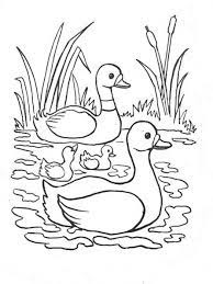 canard cane canetons 4 coloring pages horse books coloriage de john le baptiste hd
