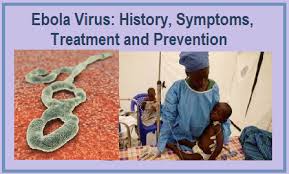 On average, however, symptoms appear within eight to 10 days, the cdc. What Is Ebola Virus History Cause Symptoms Prevention And Treatment