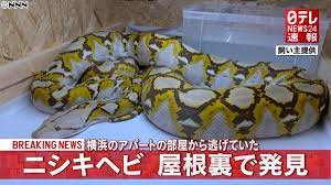 「眠れないんだ」 風もなく茹だりそうな夜に 君の声が耳元で揺らいだ 感傷に浸ってばっか 何も変わらない. Hfst60fkb Zorm